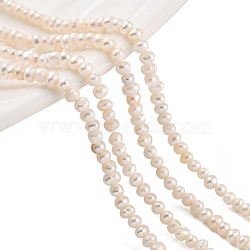 Natural Cultured Freshwater Pearl Beads Strands, Potato, PeachPuff, 1.5~2mm, Hole: 0.3mm, about 95~111pcs/strand, 6.89~7.48 inch(17.5~19cm)
(PEAR-C003-02B)