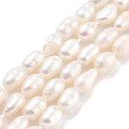Natural Cultured Freshwater Pearl Beads Strands, Rice, Grade 3A, Snow, 3~4mm, Hole: 0.5mm, about 26~39pcs/strand, 7.09''~7.28''(18~18.5cm)(PEAR-P062-04B)