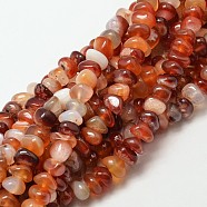 Dyed Natural Carnelian Nuggets Beads Strands, 7~9x4~9mm, Hole: 1mm, about 72~83pcs/strand, 15.7 inch(G-P091-38)
