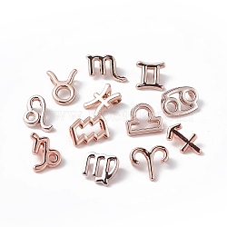 12Pcs 12 Style Alloy Charms Set, Twelve Constellations Charm, Rose Gold, 11~15x8.5~13.5x2.5~6mm, Hole: 2mm, 1pc/style(FIND-A026-01RG)