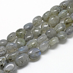 Natural Labradorite Beads Strands, Nuggets, 8~15x7~12x4~12mm, Hole: 1mm, about 30~45pcs/strand, 15.7 inch(X-G-R445-8x10-20)