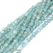 Natural Apatite Beads Strands, Faceted, Flat Round, 3.5x1.5~2mm, Hole: 0.6mm, about 116pcs/strand, 15.35~15.51 inch(39~39.4cm)(G-I249-A09)