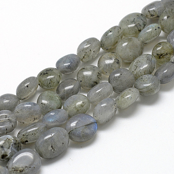 Natural Labradorite Beads Strands, Nuggets, 8~15x7~12x4~12mm, Hole: 1mm, about 30~45pcs/strand, 15.7 inch