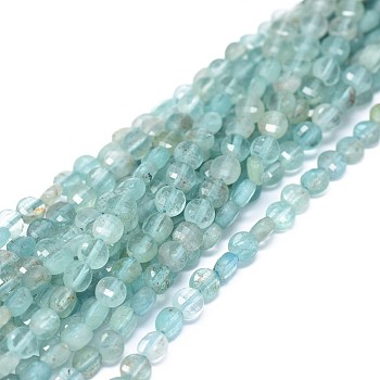 Natural Apatite Beads Strands, Faceted, Flat Round, 3.5x1.5~2mm, Hole: 0.6mm, about 116pcs/strand, 15.35~15.51 inch(39~39.4cm)