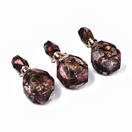 Assembled Synthetic Bronzite and Imperial Jasper Openable Perfume Bottle Pendants, with Light Gold Brass Findings, Dyed, Hot Pink, Capacity: 1ml(0.03 fl. oz), 39~40x19.5x13.5mm, Hole: 1.8mm(G-S366-060E)