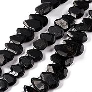 Natural Black Tourmaline Beads Strands, Faceted, Teardrop, 16~30.5x12~21x5mm, Hole: 1mm, about 28~29pcs/strand, 15.75~16.54 inch(40~42cm)(G-F719-15)