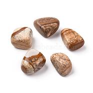 5Pcs Natural Picture Jasper Beads, Tumbled Stone, Vase Filler Gems, No Hole/Undrilled, Nuggets, 20~35x13~23x8~22mm(G-FS0002-07)