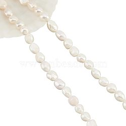 Nbeads Natural Baroque Pearl Keshi Pearl Beads Strands, Cultured Freshwater Pearl, Nuggets, Seashell Color, 7~8mm, Hole: 0.8mm, about 46~48pcs/strand, 13.77 inch~14.17 inch, 2strands/box(PEAR-NB0001-49)