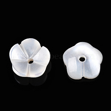 Natural White Shell Beads(SSHEL-S260-053)-2