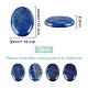 cabochons à dos plat en lapis-lazuli naturel pandahall Elite(G-PH0002-22A)-2
