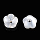 Natural White Shell Beads(SSHEL-S260-053)-2