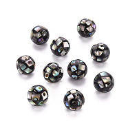 Resin Beads, with Natural Abalone Shell/Paua, Round, Colorful, 8.5mm, Hole: 1mm(SSHEL-T014-38-8mm-07)
