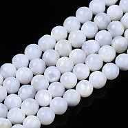 Natural Freshwater Shell Beads Strands, Round, White, 4mm, Hole: 0.8mm, about 97~99pcs/strand, 14.88 inch~15.16 inch(37.8~38.5cm)(SHEL-N003-24-A01)