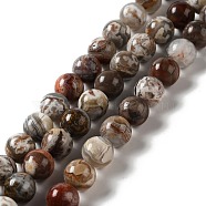 Natural Mexican Agate Beads Strands, Round, 10mm, Hole: 1mm, about 39pcs/strand, 15.35''(39cm)(G-E578-02C)