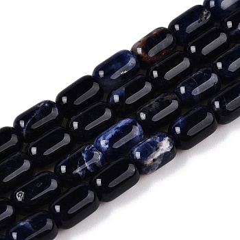 Natural Sodalite Beads Strands, Column, 9~9.5x6~6.5mm, Hole: 0.9~1mm, about 20~21pcs/strand, 7.28~7.6''(18.5~19cm)