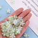 Transparent Acrylic Beads(TACR-S154-45C-327)-5