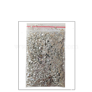 Foil Chip Flake, for Resin Craft, Nail Art, Painting, Gilding Decoration Accessories, Silver, Bag: 100x50mm(MRMJ-PW0004-04S)