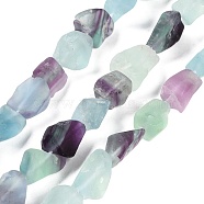 Raw Rough Natural Fluorite Beads Strands, Nuggets, 11~18x8~12x6~8mm, Hole: 1mm, about 31pcs/strand, 15.91 inch(40.4cm)(G-G116-B01-01)