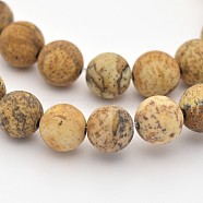 Natural Picture Jasper Beads Strands, Frosted, Round, 6mm, Hole: 1mm, about 63pcs/strand, 15.3 inch(G-D659-6mm)