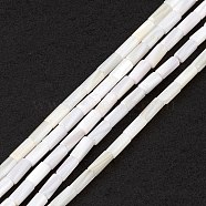 Natural Freshwater Shell Dyed Beads Strands, Column, Seashell Color, 8x4mm, Hole: 0.8mm, about 46pcs/strand, 14.96''(38cm)(SHEL-M018-11-12)