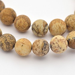 Natural Picture Jasper Beads Strands, Frosted, Round, 6mm, Hole: 1mm, about 63pcs/strand, 15.3 inch(G-D659-6mm)