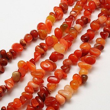 Nuggets Natural Red Carnelian Beads Strands, Tumbled Stone, 7~10x3~8x5~9mm, Hole: 1mm, 15.3 inch