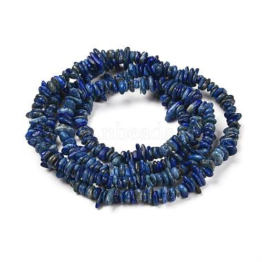 Natural Lapis Lazuli Stone Bead Strands(G-R192-13)-5