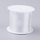 Fishing Thread Nylon Wire(X-NWIR-G015-0.2mm-01)-1