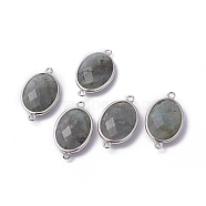 Platinum Tone Brass Natural Labradorite Links connectors, Faceted, Oval, 26.5x15x6mm, Hole: 1~2mm(G-F339-B12)
