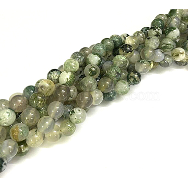 Natural Tree Agate Round Gemstone Beads Strands(G-R255-8mm)-3