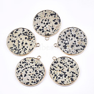 Natural Dalmatian Jasper Pendants, with Brass Findings, Flat Round, Golden, 35~36x31~32x3mm, Hole: 2mm(G-T112-24K)