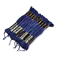 10 Skeins 6-Ply Polyester Embroidery Floss, Cross Stitch Threads, Segment Dyed, Indigo, 0.5mm, about 8.75 Yards(8m)/skein(OCOR-K006-A72)
