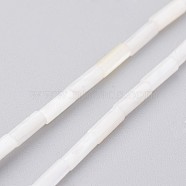 Natural Shell Bead Strands, Dyed, Column, Floral White, 6x2mm, Hole: 0.5mm, about 67pcs/strand, 15.2 inch(BSHE-P017-03)