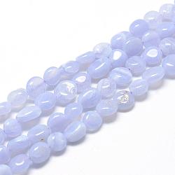 Natural Blue Lace Agate Beads Strands, Nuggets, 6~10x4~7x4~7mm, Hole: 1mm, about 43~62pcs/strand, 15.7 inch(G-R445-6x8-10)