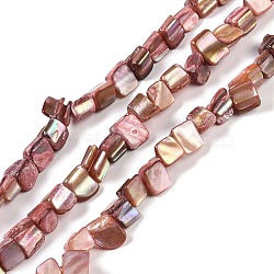 Dyed Natural Freshwater Shell Beads Strands, Nuggets, Pale Violet Red, 7.5~9x9.5~15x5~9mm, Hole: 0.9mm, about 42~50pcs/strand, 14.45''~14.76''(36.7~37.5cm)(SHEL-P016-01G)
