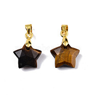 Natural Tiger Eye Charms, with Golden Plated Brass Findings, Faceted Star, Star: 12x12.5x5.5mm, Hole: 3.5x4mm(G-N326-142-01)