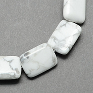 Natural Howlite Beads Strands, Rectangle, White, 18x13x6mm, Hole: 1mm, about 22pcs/strand, 15.7 inch(X-G-S112-23)