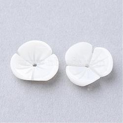 Natural Sea Shell Beads, Flower, Creamy White, 11.5x12x3.5mm, Hole: 0.5mm(SSHEL-S250-20)
