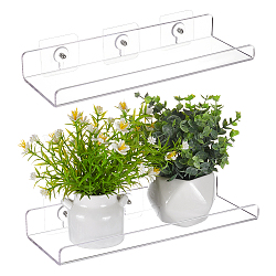 Acrylic Flower Pot Wall Storage Rack, Rectangle, Clear, 105x300x3mm, Hole: 1mm(ODIS-WH0043-83)