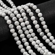 Natural Howlite Beads Strands, Frosted, Round, 8mm, Hole: 1mm, about 48pcs/strand, 15.1 inch(X-G-D696-8mm)