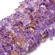 Natural Ametrine Chip Beads Strands, 9~15x9~15mm, Hole: 1mm, about 15.3 inch~15.9 inch(X-G-E271-71)
