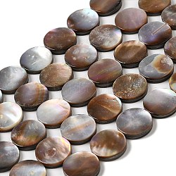 Natural Sea Shell Beads Strands, Flat Round, 12x2~2.5mm, Hole: 0.8mm, about 33pcs/strand, 15.87''~16.02''(40.3~40.7cm)(SHEL-K006-34)