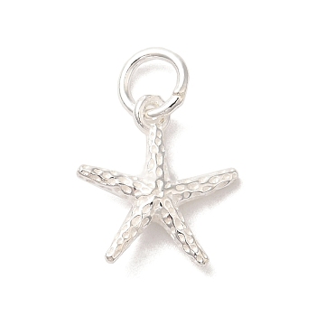 925 Sterling Silver Sea Animal Starfish Charms, Silver, 13.5x12x3mm, Hole: 4mm