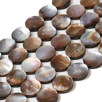 Natural Sea Shell Beads Strands, Flat Round, 12x2~2.5mm, Hole: 0.8mm, about 33pcs/strand, 15.87''~16.02''(40.3~40.7cm)
