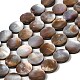 Natural Sea Shell Beads Strands(SHEL-K006-34)-1