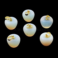 Opalite Teacher Apple Charms, with Golden Plated Brass Snap on Bails, 14.5x14mm, Hole: 6.5x4mm(G-Z022-02A-G)