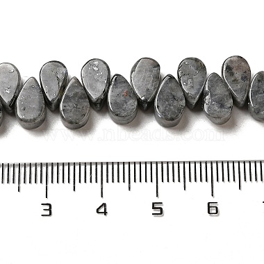 Natural Larvikite Beads Strands(G-B064-B63)-5