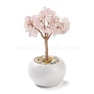 Natural Rose Quartz Chips Tree Decorations, Ceramic Bowl Base Copper Wire Feng Shui Energy Stone Gift for Home Desktop Decoration, 65~68x130~135mm(DJEW-M012-01D)