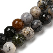 Natural Dendritic Jasper Beads Strands, Chohua Jasper, Round, 6mm, Hole: 0.8mm, about 65pcs/strand, 15.35''(39cm)(G-R494-A23-02)