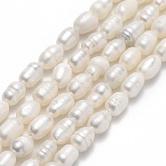 Natural Cultured Freshwater Pearl Beads Strands, Rice, Linen, 5~7x4~5mm, Hole: 0.6mm, about 49~51pcs/strand, 13.58 inch(34.5cm)(PEAR-J006-13A)
